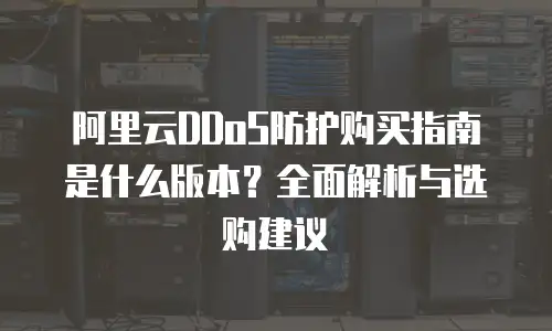 阿里云DDoS防护购买指南是什么版本？全面解析与选购建议
