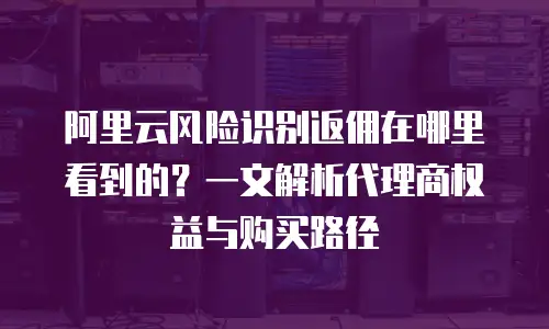 阿里云风险识别返佣在哪里看到的？一文解析代理商权益与购买路径