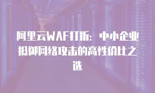 阿里云WAF打折：中小企业抵御网络攻击的高性价比之选
