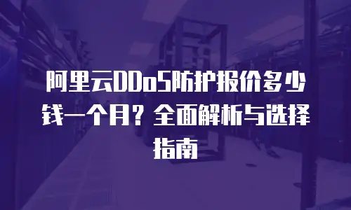 阿里云DDoS防护报价多少钱一个月？全面解析与选择指南