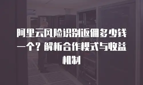 阿里云风险识别返佣多少钱一个？解析合作模式与收益机制
