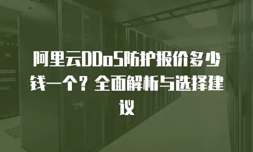 阿里云DDoS防护报价多少钱一个？全面解析与选择建议