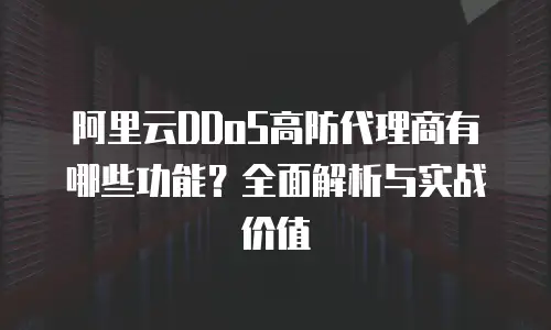 阿里云DDoS高防代理商有哪些功能？全面解析与实战价值