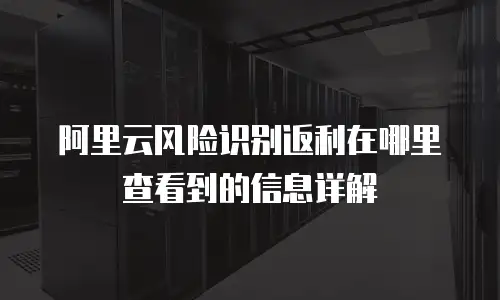 阿里云风险识别返利在哪里查看到的信息详解