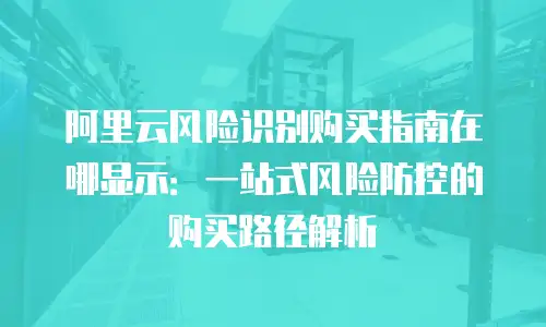 阿里云风险识别购买指南在哪显示：一站式风险防控的购买路径解析