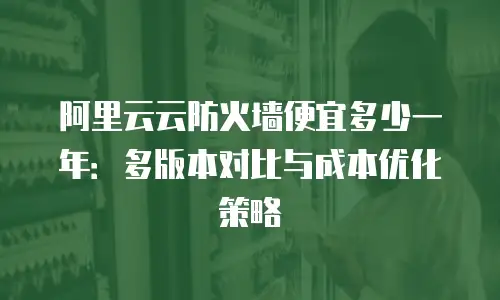 阿里云云防火墙便宜多少一年：多版本对比与成本优化策略