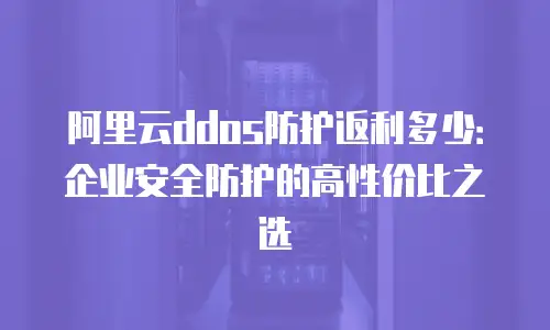 阿里云ddos防护返利多少：企业安全防护的高性价比之选