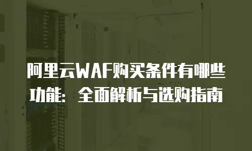 阿里云WAF购买条件有哪些功能：全面解析与选购指南