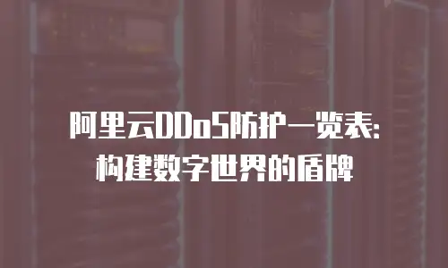 阿里云DDoS防护一览表：构建数字世界的盾牌