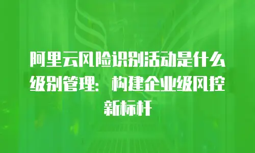 阿里云风险识别活动是什么级别管理：构建企业级风控新标杆