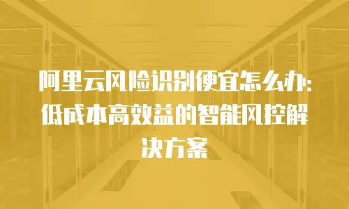 阿里云风险识别便宜怎么办：低成本高效益的智能风控解决方案
