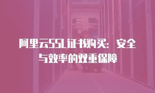 阿里云SSL证书购买：安全与效率的双重保障