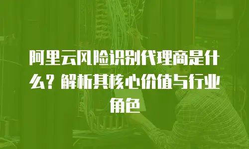 阿里云风险识别代理商是什么？解析其核心价值与行业角色
