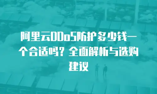 阿里云DDoS防护多少钱一个合适吗？全面解析与选购建议