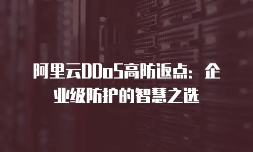 阿里云DDoS高防返点：企业级防护的智慧之选
