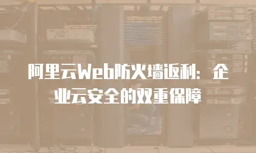 阿里云Web防火墙返利：企业云安全的双重保障