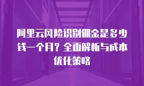 阿里云风险识别佣金是多少钱一个月？全面解析与成本优化策略