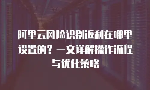 阿里云风险识别返利在哪里设置的？一文详解操作流程与优化策略