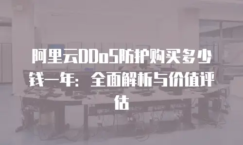阿里云DDoS防护购买多少钱一年：全面解析与价值评估