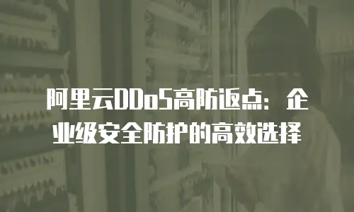 阿里云DDoS高防返点：企业级安全防护的高效选择