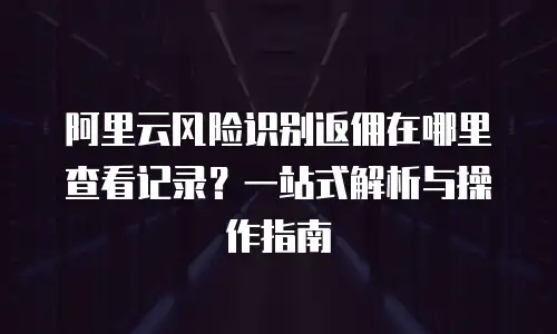 阿里云风险识别返佣在哪里查看记录？一站式解析与操作指南