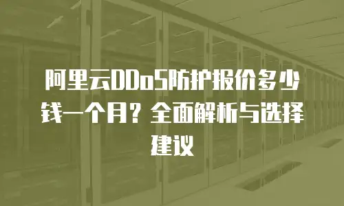 阿里云DDoS防护报价多少钱一个月？全面解析与选择建议