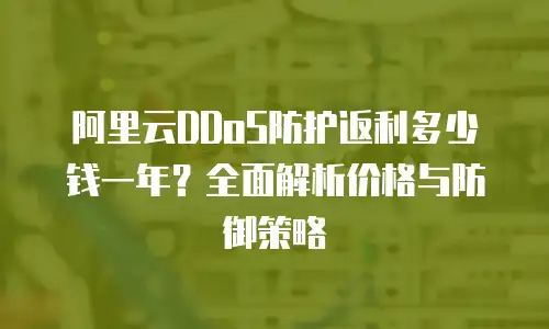 阿里云DDoS防护返利多少钱一年？全面解析价格与防御策略