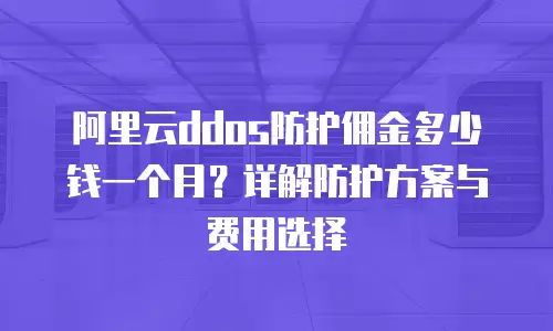 阿里云ddos防护佣金多少钱一个月？详解防护方案与费用选择