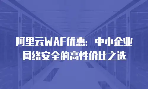 阿里云WAF优惠：中小企业网络安全的高性价比之选
