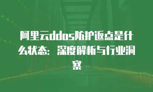 阿里云ddos防护返点是什么状态：深度解析与行业洞察