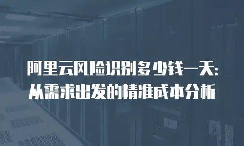 阿里云风险识别多少钱一天：从需求出发的精准成本分析