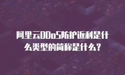 阿里云DDoS防护返利是什么类型的简称是什么？