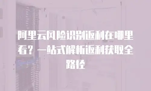 阿里云风险识别返利在哪里看？一站式解析返利获取全路径