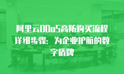 阿里云DDoS高防购买流程详细步骤：为企业护航的数字盾牌