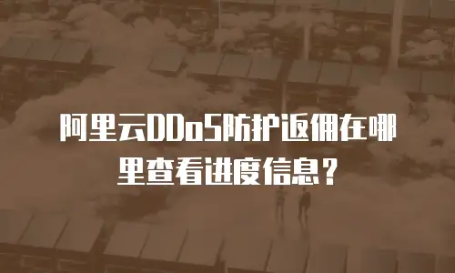 阿里云DDoS防护返佣在哪里查看进度信息？