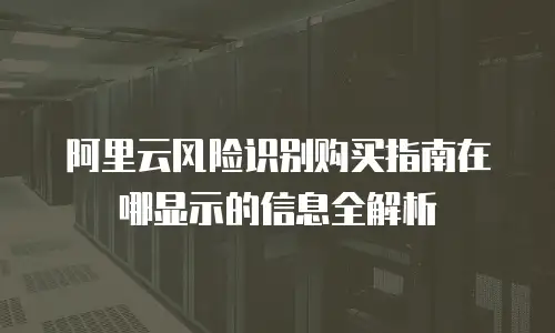 阿里云风险识别购买指南在哪显示的信息全解析