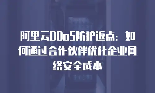 阿里云DDoS防护返点：如何通过合作伙伴优化企业网络安全成本