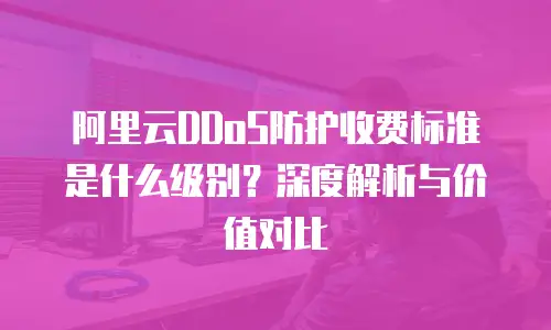 阿里云DDoS防护收费标准是什么级别？深度解析与价值对比