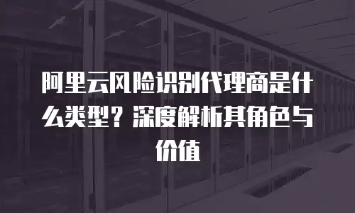 阿里云风险识别代理商是什么类型？深度解析其角色与价值