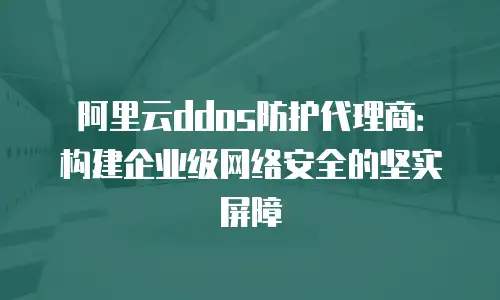 阿里云ddos防护代理商：构建企业级网络安全的坚实屏障