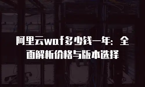 阿里云waf多少钱一年：全面解析价格与版本选择