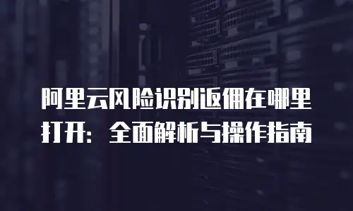 阿里云风险识别返佣在哪里打开：全面解析与操作指南