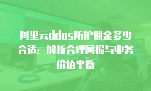 阿里云ddos防护佣金多少合适：解析合理回报与业务价值平衡