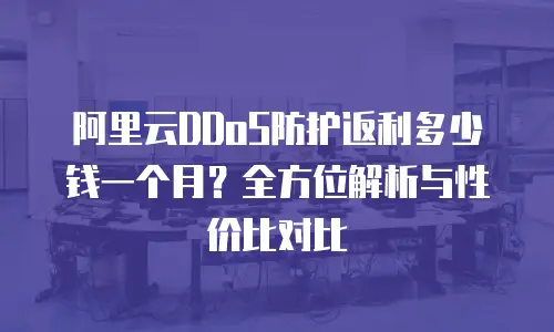 阿里云DDoS防护返利多少钱一个月？全方位解析与性价比对比