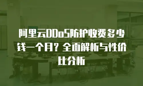 阿里云DDoS防护收费多少钱一个月？全面解析与性价比分析