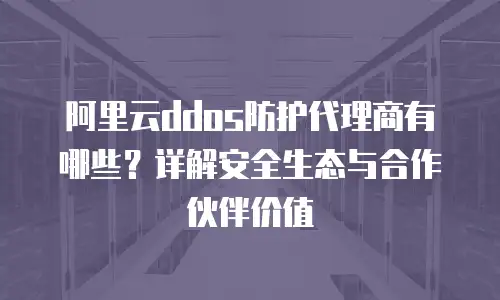 阿里云ddos防护代理商有哪些？详解安全生态与合作伙伴价值