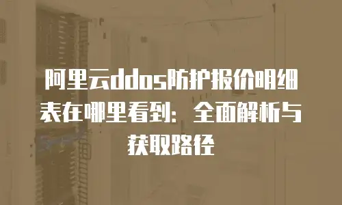 阿里云ddos防护报价明细表在哪里看到：全面解析与获取路径
