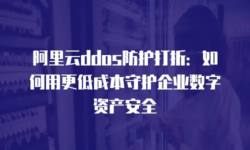 阿里云ddos防护打折：如何用更低成本守护企业数字资产安全