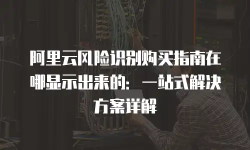 阿里云风险识别购买指南在哪显示出来的：一站式解决方案详解
