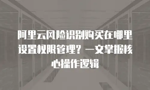 阿里云风险识别购买在哪里设置权限管理？一文掌握核心操作逻辑